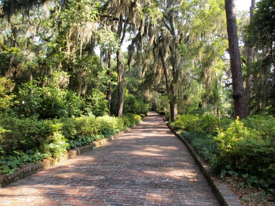 [Brick walkway extending from the camera straight back to the middle of the photo. On either side is a plethora of green shrubs and trees with some Spanish moss hanging from them. Glints of blue sky can be see amid the tree leaves.]